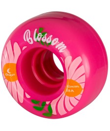 Quad riedučių ratukai Chaya Blossom 62x38/78A