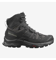 Hiking Boots Salomon Quest 4 GTX