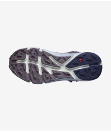 Turistiniai batai Salomon Predict  Hike Mid GTX W