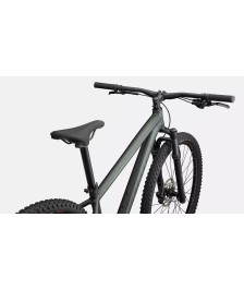 Specialized Rockhopper Comp