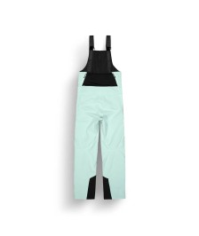 Picture U62 Bib Ski Pants