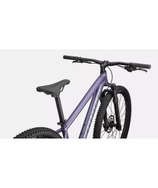 Specialized Rockhopper Comp 29 dviratis