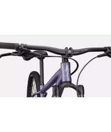 Specialized Rockhopper Comp 29 dviratis