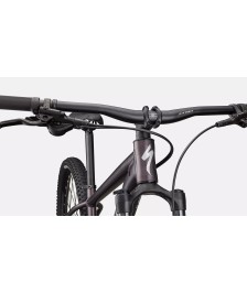 Specialized Rockhopper Comp 29