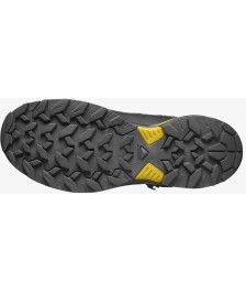 Salomon X Ultra 360 Mid GTX turistiniai batai