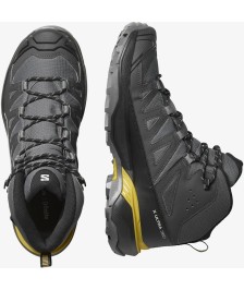 Salomon X Ultra 360 Mid GTX turistiniai batai