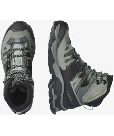 Salomon Quest 4 GTX W turistiniai batai