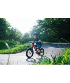 RASCAL 14 children's bike