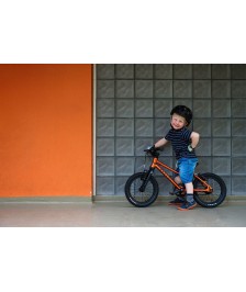 RASCAL 14 children's bike