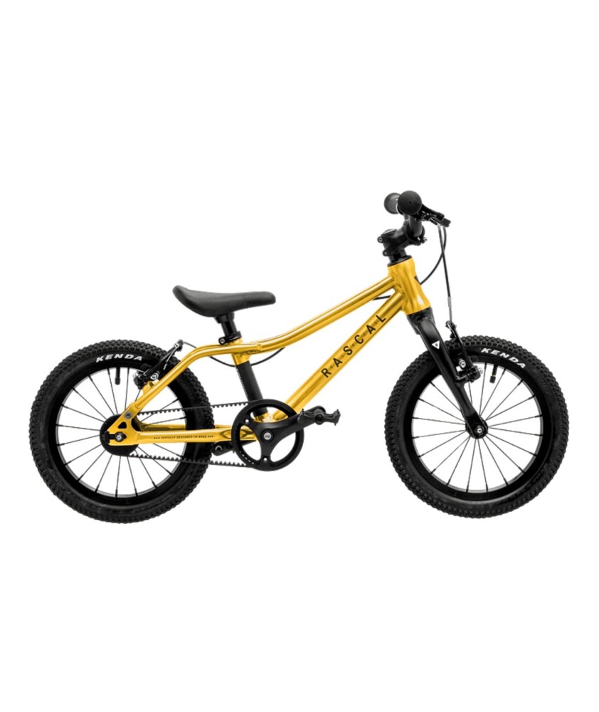 RASCAL 14 children's bike