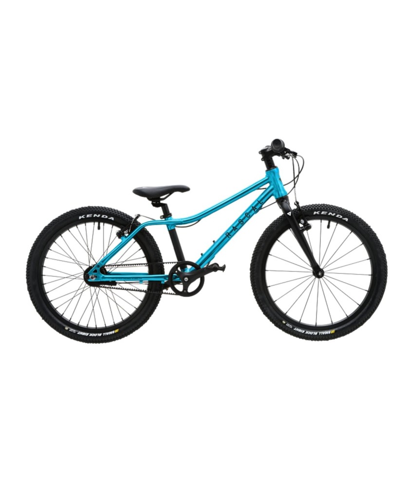 RASCAL 20 children's bike