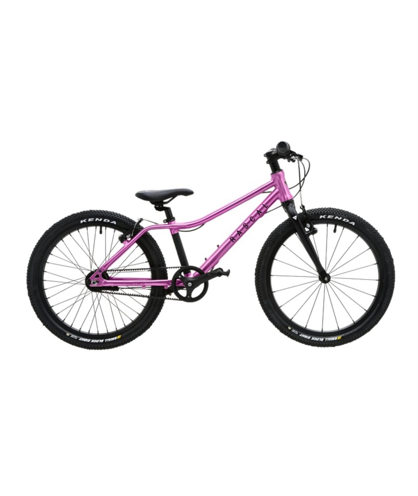 RASCAL 20 children's bike
