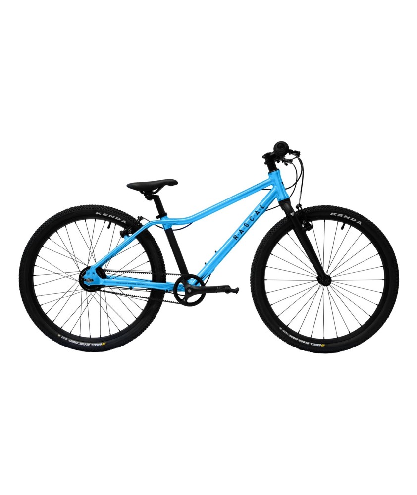 RASCAL 24 children's bike