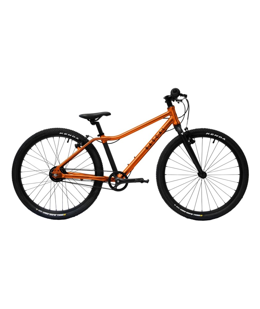 RASCAL 24 children's bike