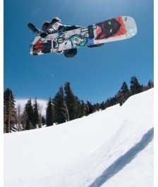 Jones Womens Rally Cat snowboard