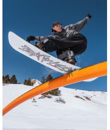 Bataleon Evil Twin Snowboard