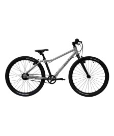 RASCAL 24 children's bike