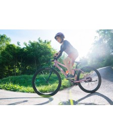 RASCAL 24 children's bike