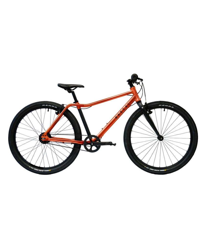 RASCAL 26 children's bike