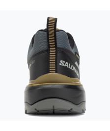 Salomon X Ultra 360 GTX shoes